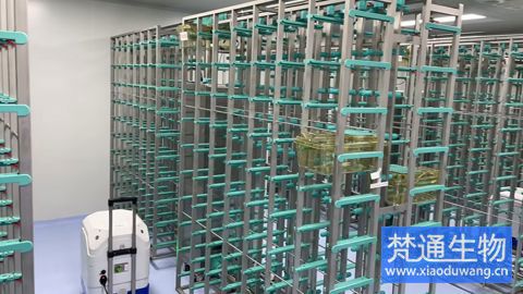 飼料廠微生物污染治理